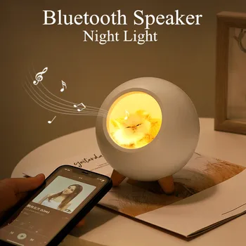 Animal de Estimação Pouco bonito Casa de Bluetooth alto-Falante Lâmpada Luz da Noite Toque de Escurecimento LEVOU Crianças do Bebê de Cabeceira Sono Lâmpadas do Quarto Decoração de Casa